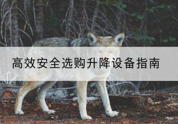 喀什升降货梯厂家推荐-*安全选购升降设备指南