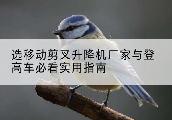 喀什电动升降机厂家-选移动剪叉升降机厂家与登高车必看实用指南