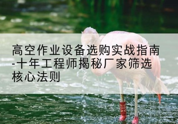 喀什剪叉式升降机厂家-高空作业设备选购实战指南-十年工程师揭秘厂家筛选核心法则